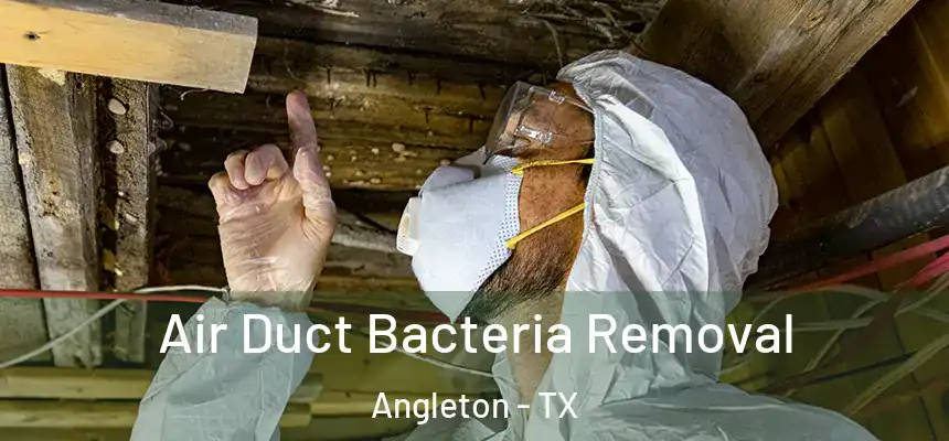 Air Duct Bacteria Removal Angleton - TX
