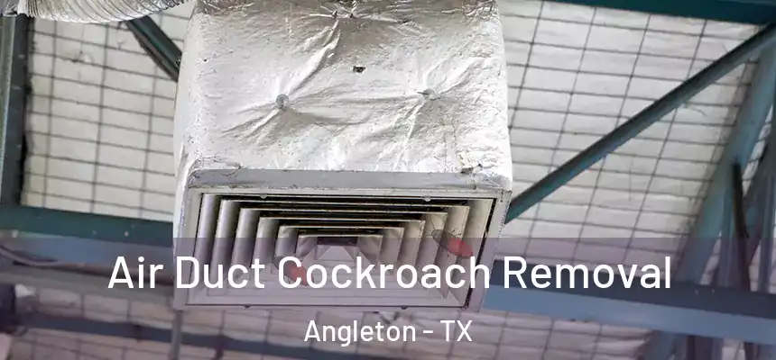 Air Duct Cockroach Removal Angleton - TX
