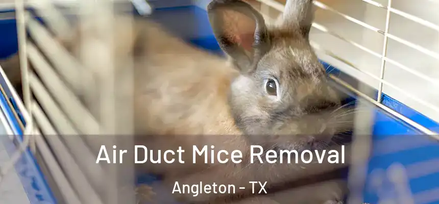 Air Duct Mice Removal Angleton - TX