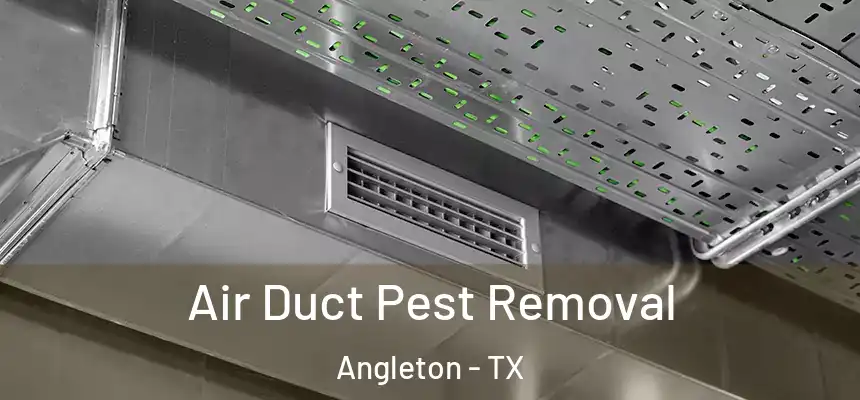  Air Duct Pest Removal Angleton - TX