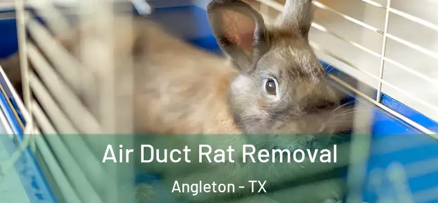  Air Duct Rat Removal Angleton - TX