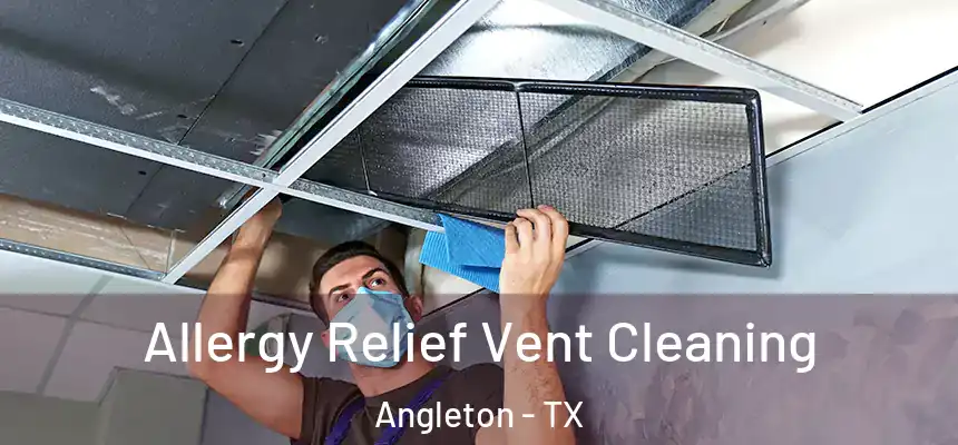  Allergy Relief Vent Cleaning Angleton - TX