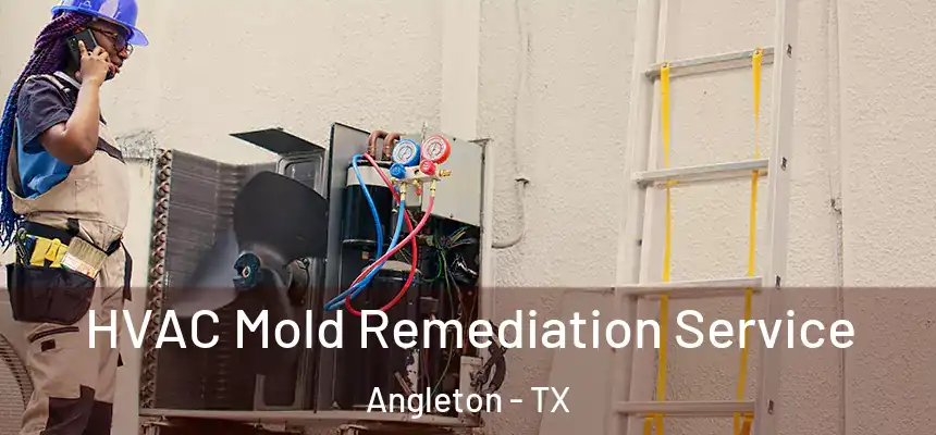 HVAC Mold Remediation Service Angleton - TX