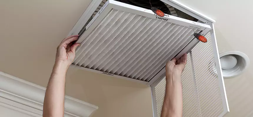 Preventive Cockroach-Proofing for Ducts in Angleton