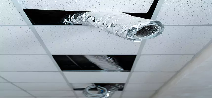 Affordable HVAC Sanitizing After Pest Removal in Angleton