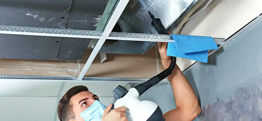 Our Air Duct Rodent Removal Services in Angleton, TX