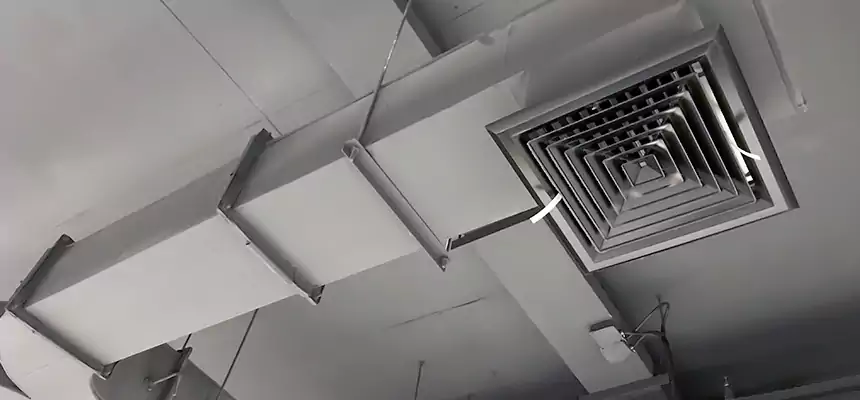 Restorative Allergy Relief Vent Cleaning – Coil, Blower & Housing Detail in Angleton