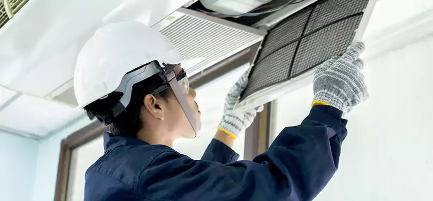 Our Mold & Mildew Removal from Air Ducts Services in Angleton, TX