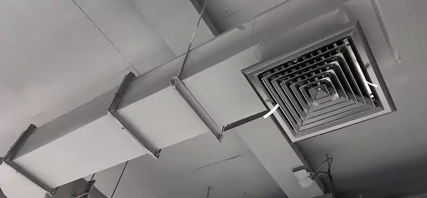 Our Pest Removal From Ducts Services in Angleton, TX