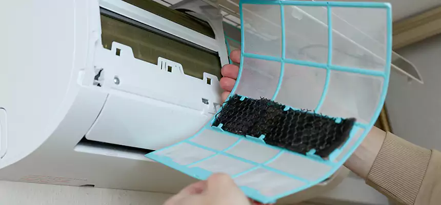 Gentle Ductwork Odor-Control Pet Dander Duct Cleaning in Angleton, TX