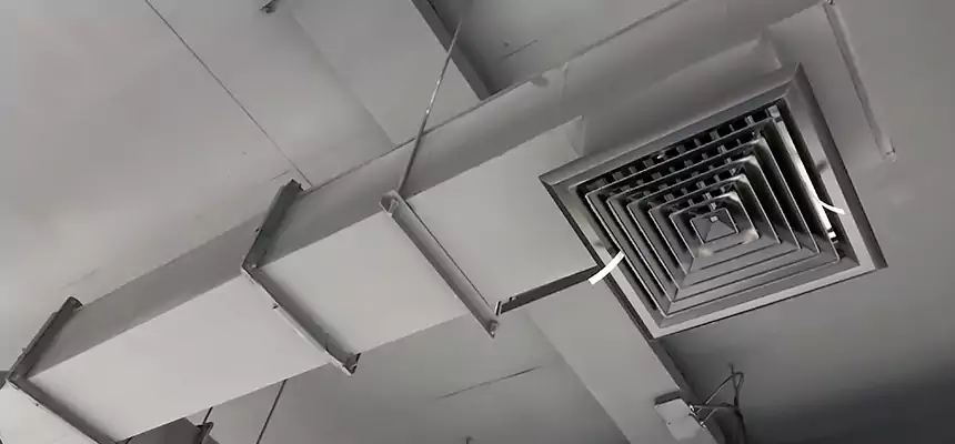 Our Rodent Droppings In Vents Services in Angleton, TX