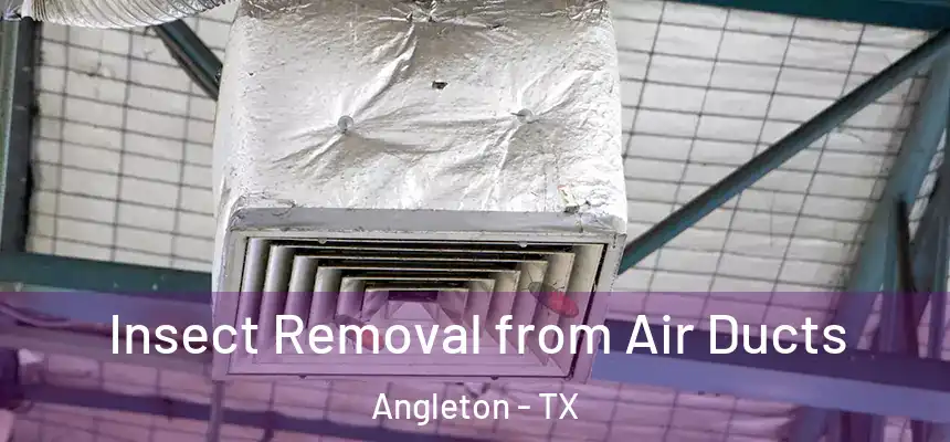  Insect Removal from Air Ducts Angleton - TX
