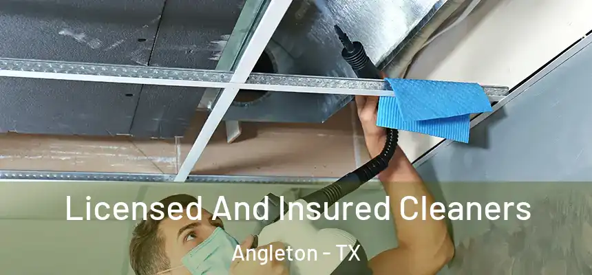  Licensed And Insured Cleaners Angleton - TX