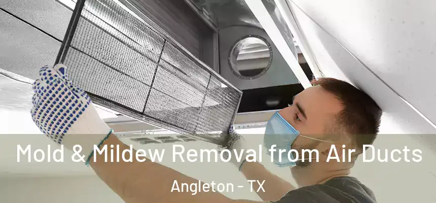  Mold & Mildew Removal from Air Ducts Angleton - TX