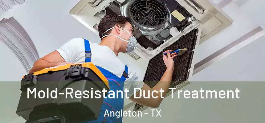  Mold-Resistant Duct Treatment Angleton - TX