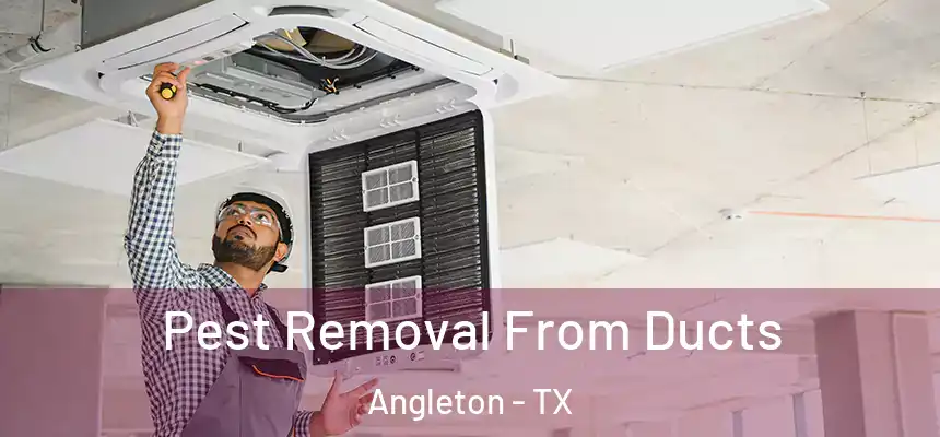  Pest Removal From Ducts Angleton - TX