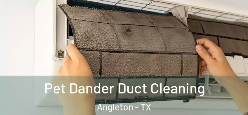  Pet Dander Duct Cleaning Angleton - TX