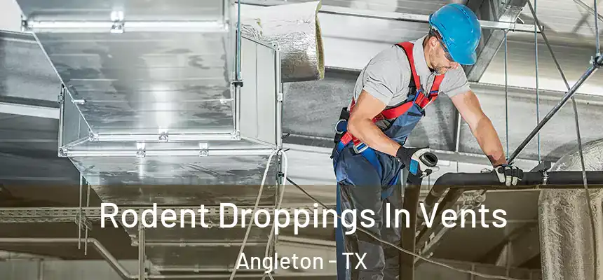 Rodent Droppings In Vents Angleton - TX