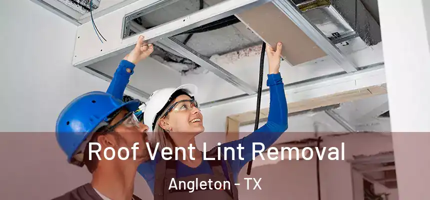  Roof Vent Lint Removal Angleton - TX