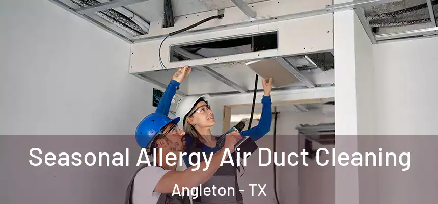  Seasonal Allergy Air Duct Cleaning Angleton - TX