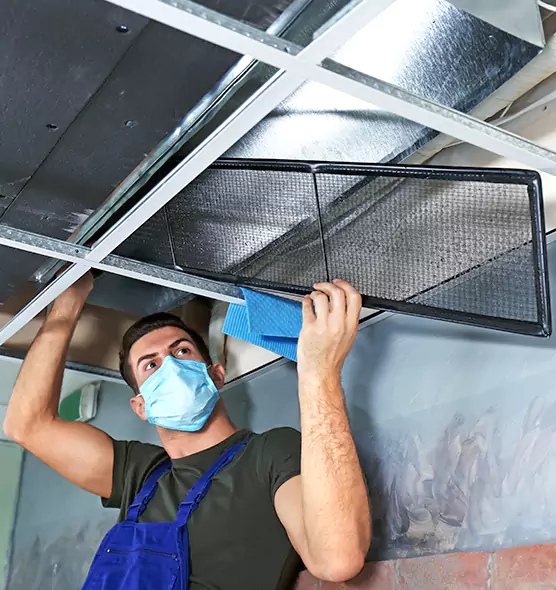 About Air Duct Bacteria Removal in Angleton