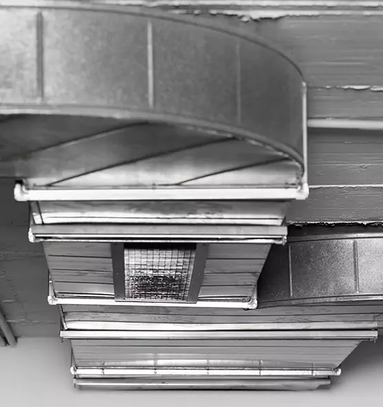 Professional Air Duct Pest Removal in Angleton, TX