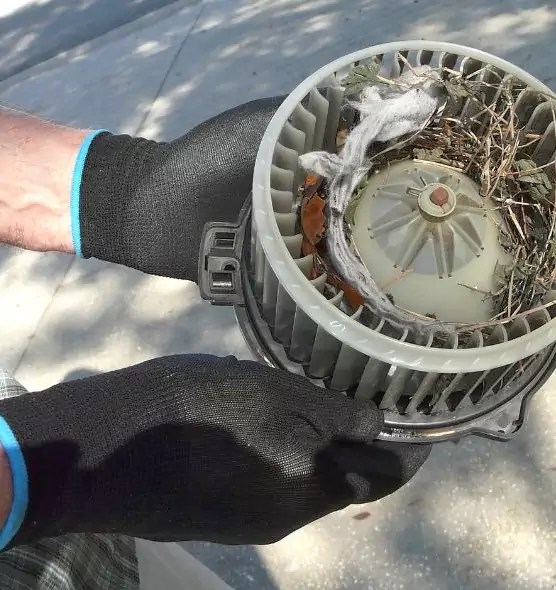 About Air Duct Rat Removal in Angleton, TX