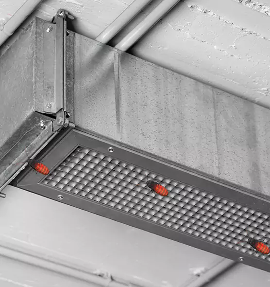 Affordable Insect Removal from Air Ducts in Angleton, TX