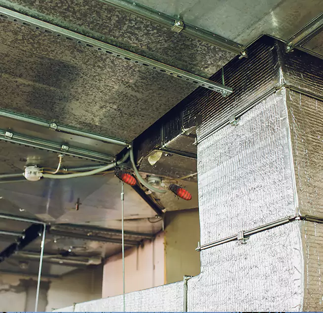 Why Homeowners & Businesses Trust Us in Angleton, TX?