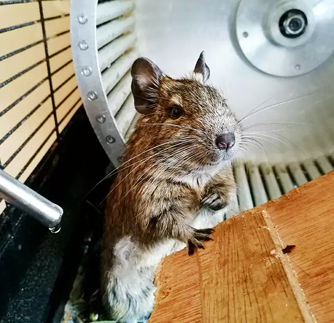 Why Homeowners & Businesses Trust Us Angleton, TX?