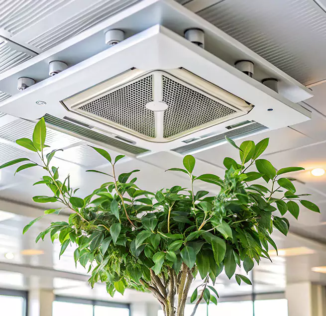 Why Homeowners & Businesses Trust Us in Angleton, TX