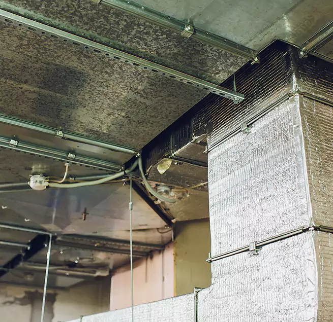 Why Homeowners & Businesses Trust Us in Angleton, TX?